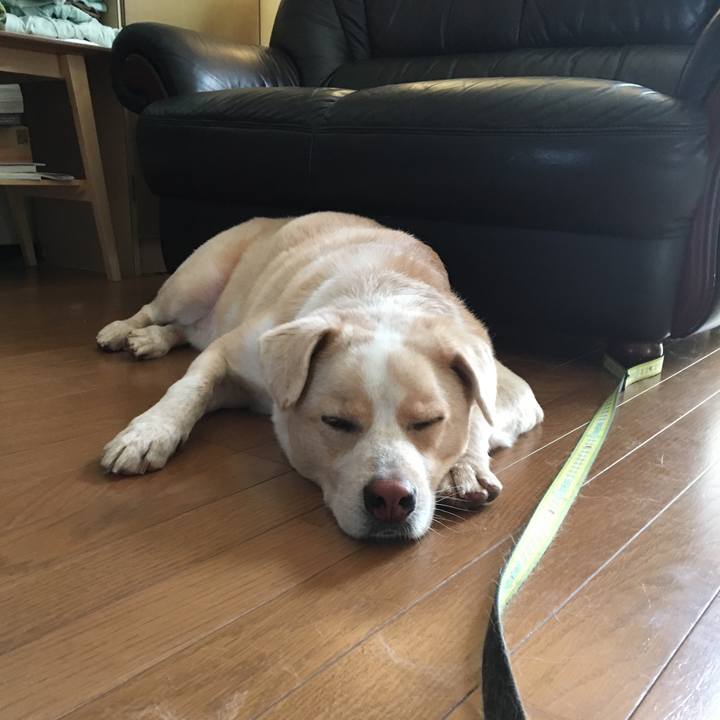 26e7f6ef 7ae4 4d49 bd8d 51cf9582230c 1539038792637