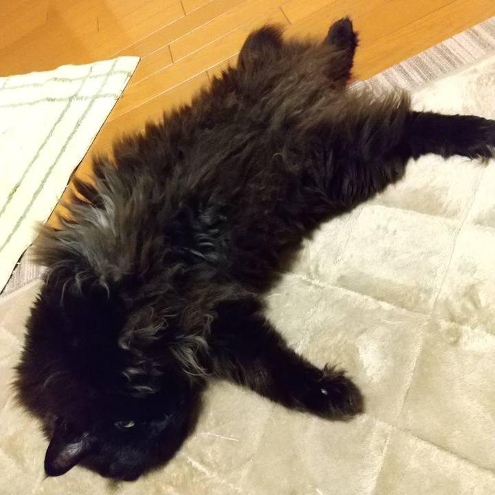 26e865b8 5c07 4261 b96d 57e2386a1854 1645440208782