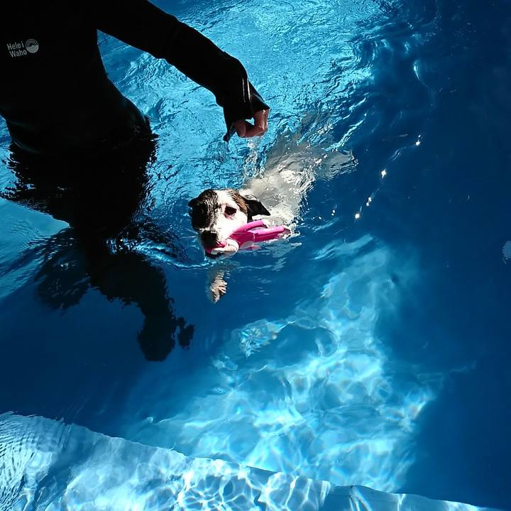 26e88d81 e67b 487a bedf 4c404edb65dd 1514349649318