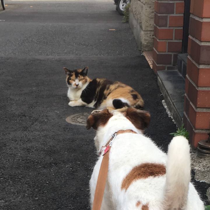 26e88de9 1c07 42f8 bbb1 0fb23dcadc76 1532294244200