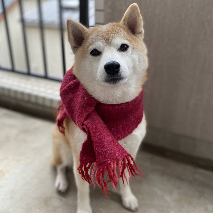 26e89837 097d 47ab bc17 f0ab40ef000d 1730926424651