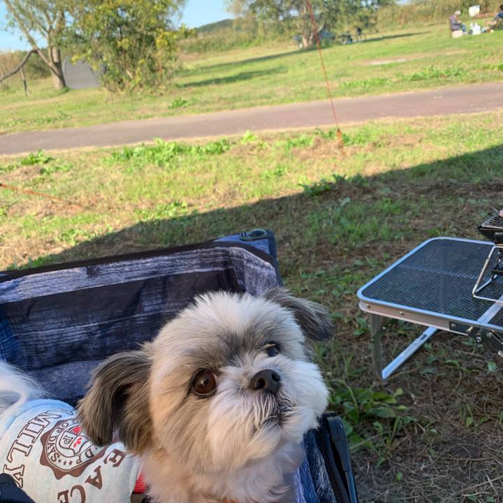 26e8e66f 4d4b 4f74 9b2d afd543418900 1603691531102