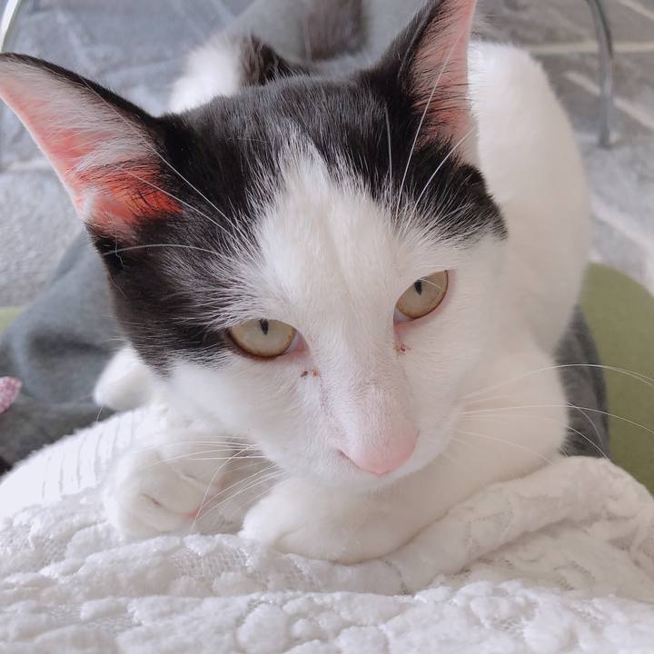 26e8f515 d72c 44df 81ff 9bdac619fe7b 1549245917996