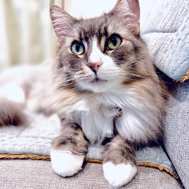 26e96d2c 4d45 4af9 b78b 3a334b76548c 1715271417042