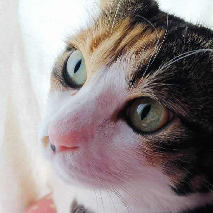 26e9a769 40dc 4108 94de 17c45c343132 1532220345423