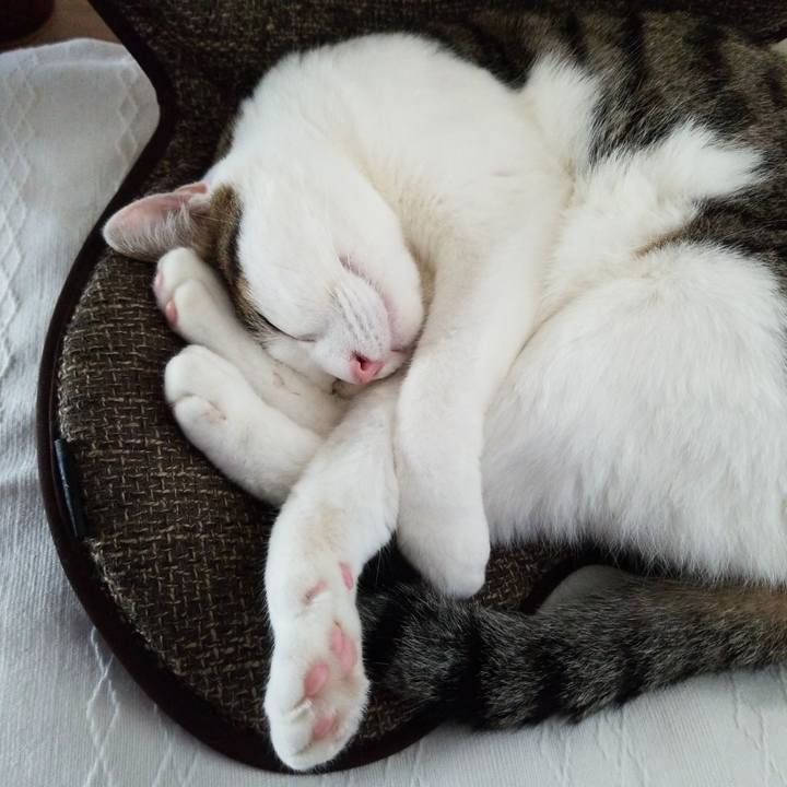 26e9d65b 37d5 4cfc a698 dfffda0db4ae 1566084194517