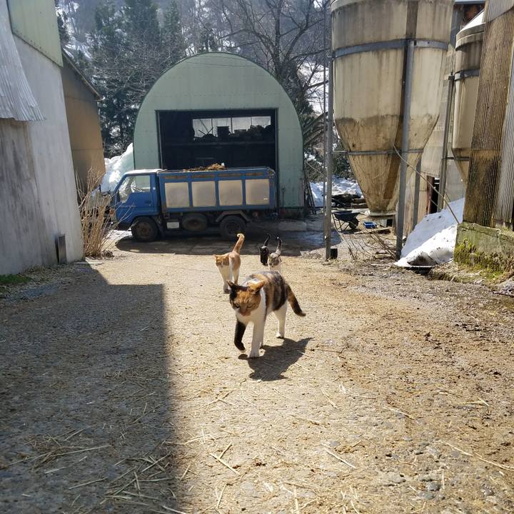 26e9dc7f e56e 4086 a46e c2e1924dce91 1522207472983