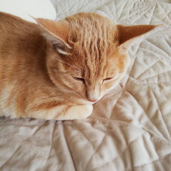 26ea1b6f 0f59 4186 aa25 0ca0567205de 1555968229872