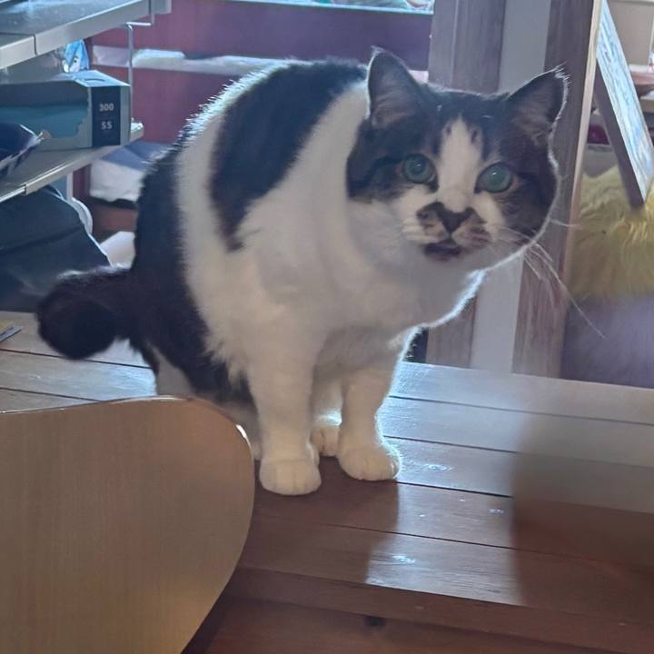 26ea5fbc dab5 4658 ac5a 96cc0a83f0e4 1773184922251