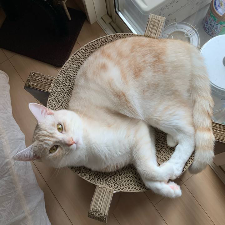 26ea697c a638 43f9 8c15 c890cc088b58 1688682949317