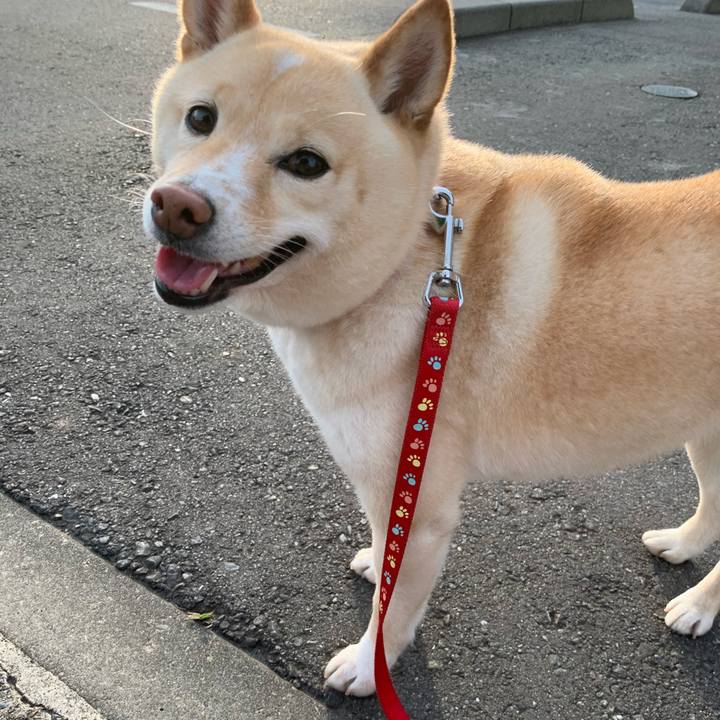 26ea7b7a e6a2 4a6a b595 2315c696ca98 1623411325250