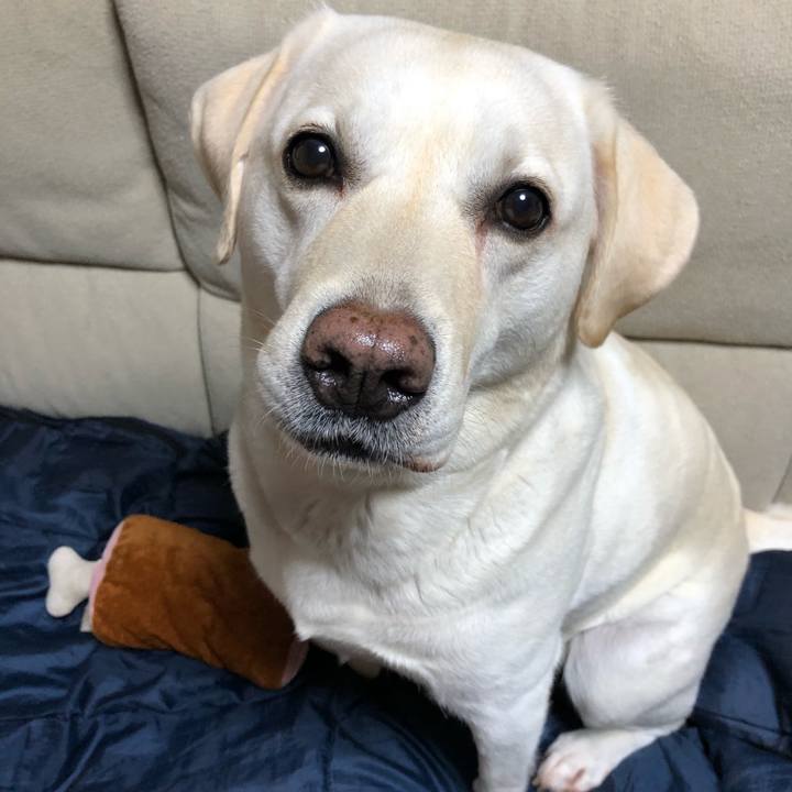 26ea83b5 865d 4a26 bcdd 82413a9f237e 1601158690841