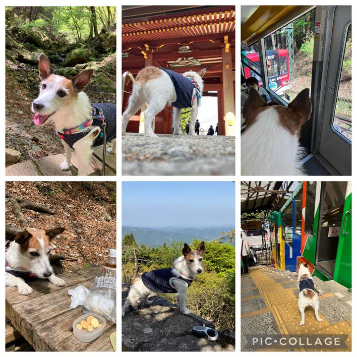 26eacd90 e291 41c5 ba9c e19195882512 1682119848915