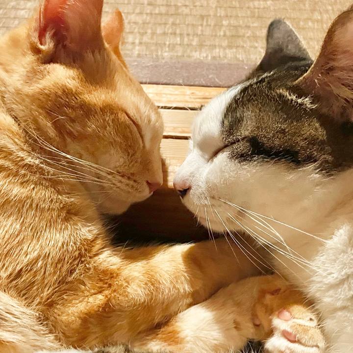 26ead56f b72f 46c2 9b6b 1a51090971c5 1769575755745