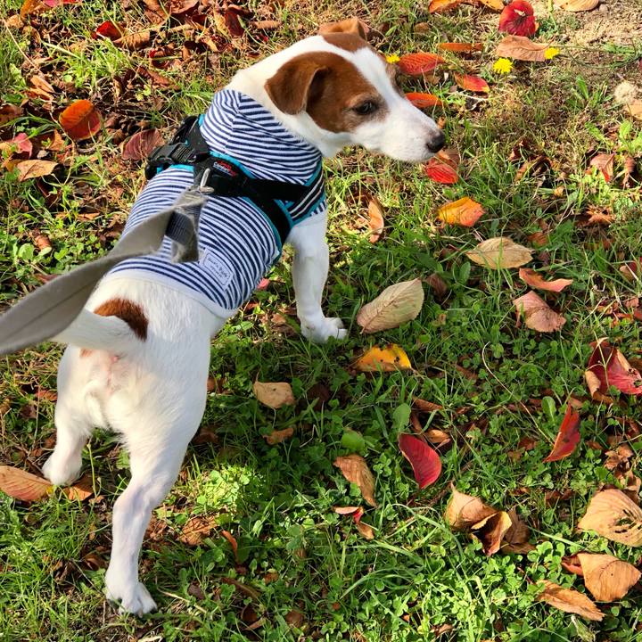 26eae844 2e0c 4ff8 b366 cd8db4e6faa5 1699442569531