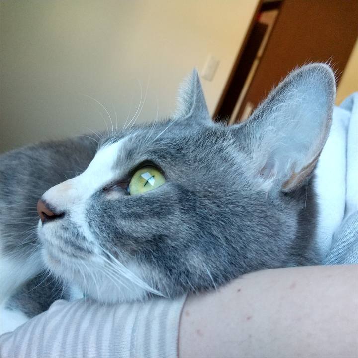 26eb63b1 3757 4a2c bd92 098f6847e8d2 1638671082877