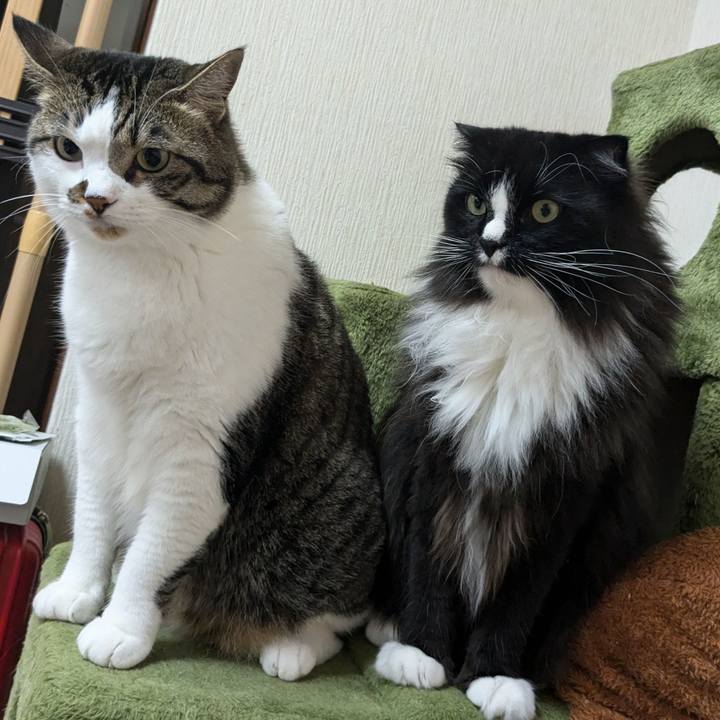 26eb6874 7d0f 4ff1 81cd 18717cc7468f 1719229205806