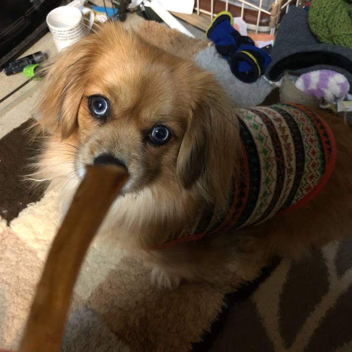 26eb79ed 9e7a 4d1d a174 60c2548041d2 1548887890891