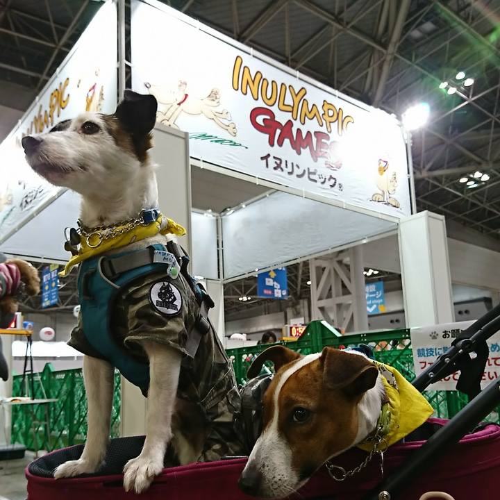 26eb8df0 d847 494c 8241 18ed6292886b 1553912840288