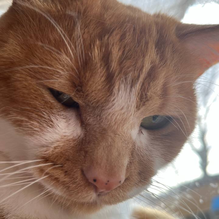 26ebc37f 87ed 4d22 b288 c71766351bc2 1746221395284