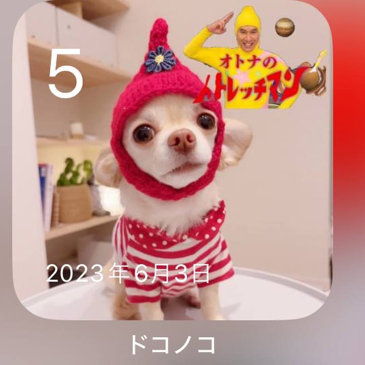 26ebc541 8bd3 4b4d 9310 cac99635fc5f 1717660972141