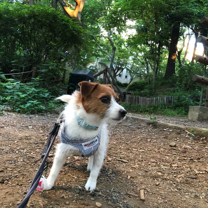 26ebc77b 05e6 40ed 895e 8f01cbddbc2d 1527972952145