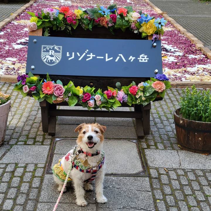 26ebc945 01c3 43da 8d85 a5a8a00fc6b3 1746253810633