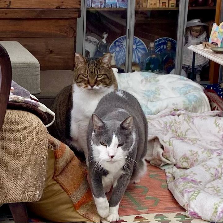 26ebe891 450c 46a0 a920 f654b03cb62c 1764500117833