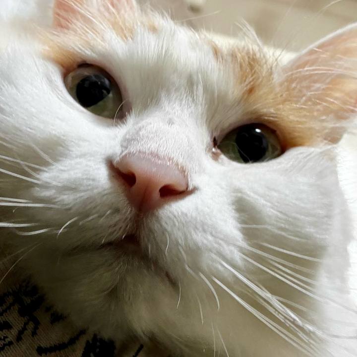 26ec2741 14db 4003 9345 f62fc27e9212 1772932237617