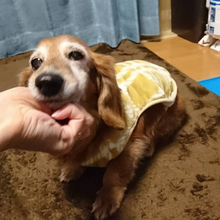 26ec66a9 fff9 436a 956b cd67c03017bf 1769530726063