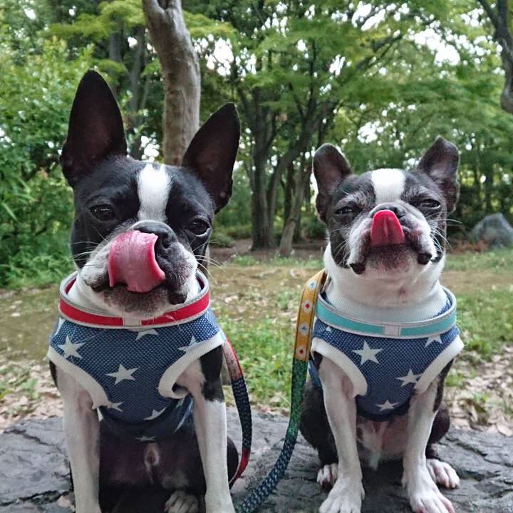 26ec7dfe 5dac 4232 af5a ae6b0666dbea 1530505650256