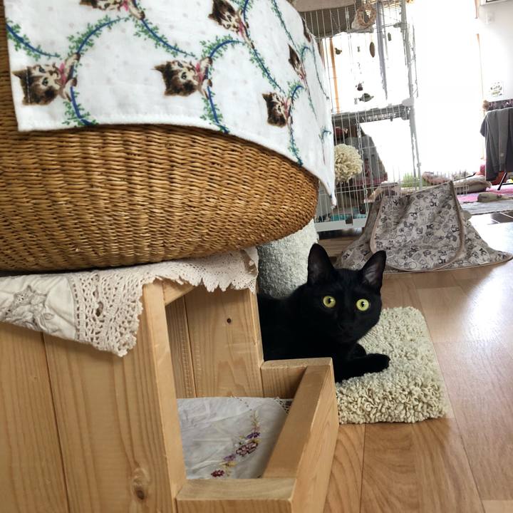 26ec9f09 5971 4d07 a4d0 9fb2226010e2 1530059416975