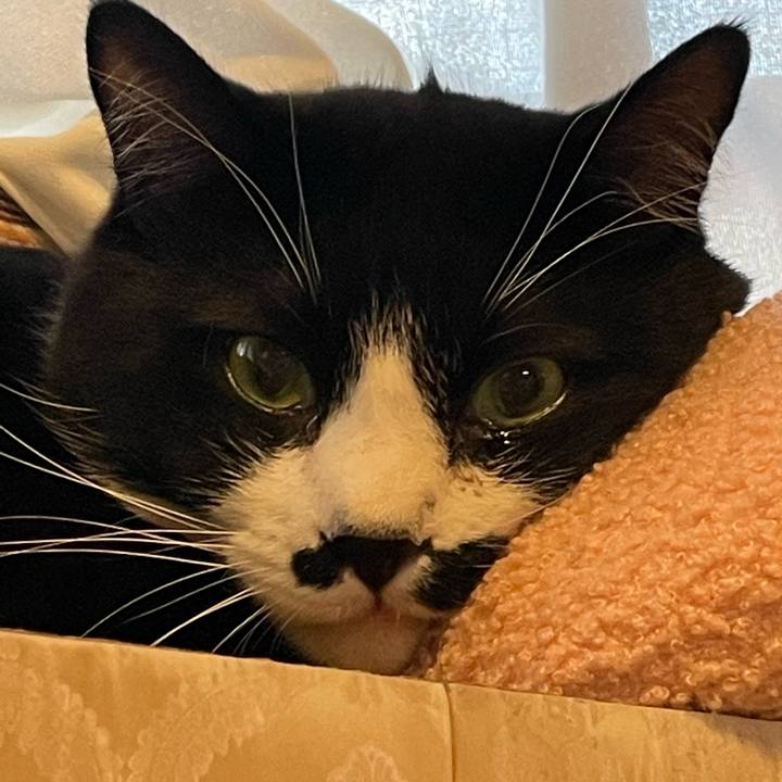 26ecb489 2743 4ae3 8a6e f4c1ddf3d5b4 1698533786562