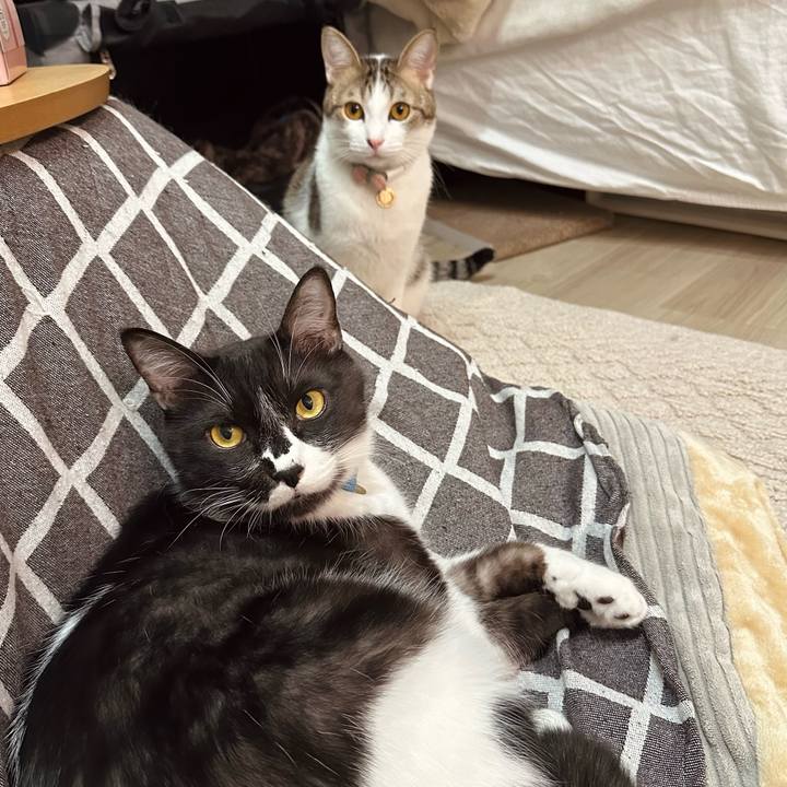 26ecc6c5 4983 4f2a bde9 1c1531c7ed1a 1768818907503