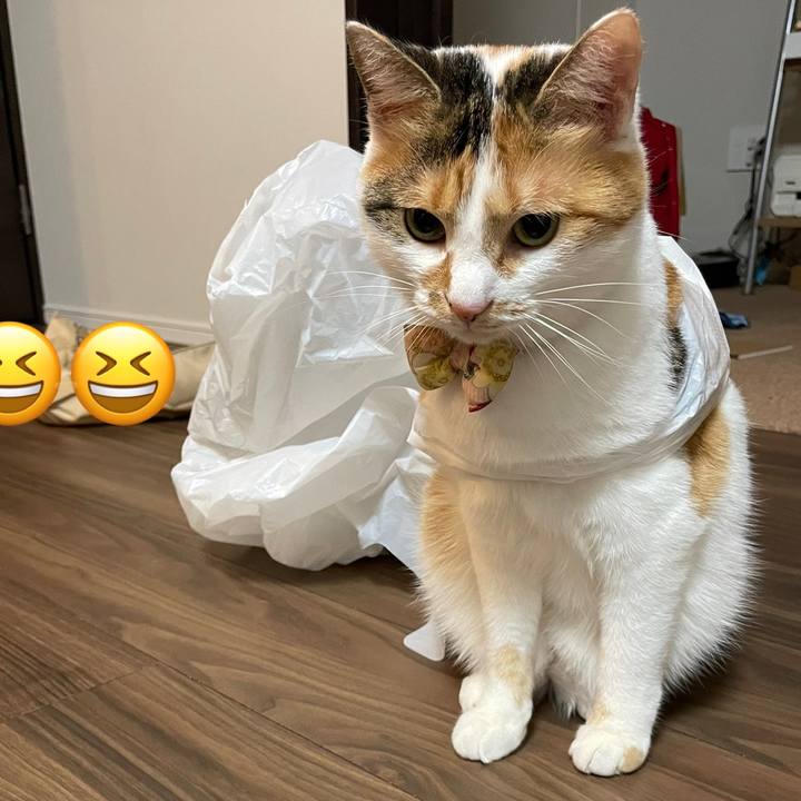 26eccb10 c81f 4542 be33 b952e6c723fb 1638106175068