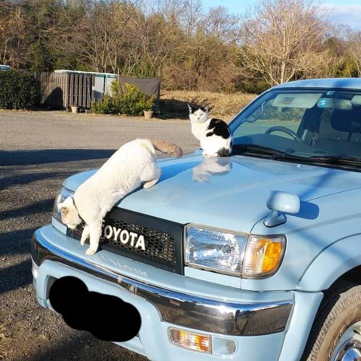 26ecd051 c52a 422c 92df 700b629ac3de 1608855371740