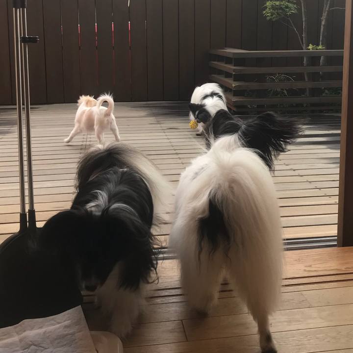 26ecdcc9 a8bd 42a7 aecf 89c4a40411c1 1533996985235