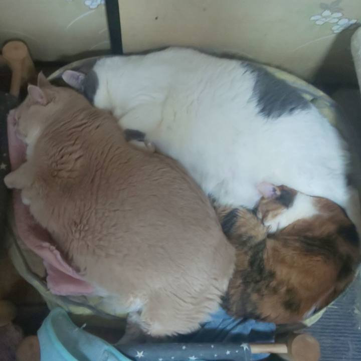 26ecfd54 d96c 4be2 9c7f 000e632da33c 1703917333500