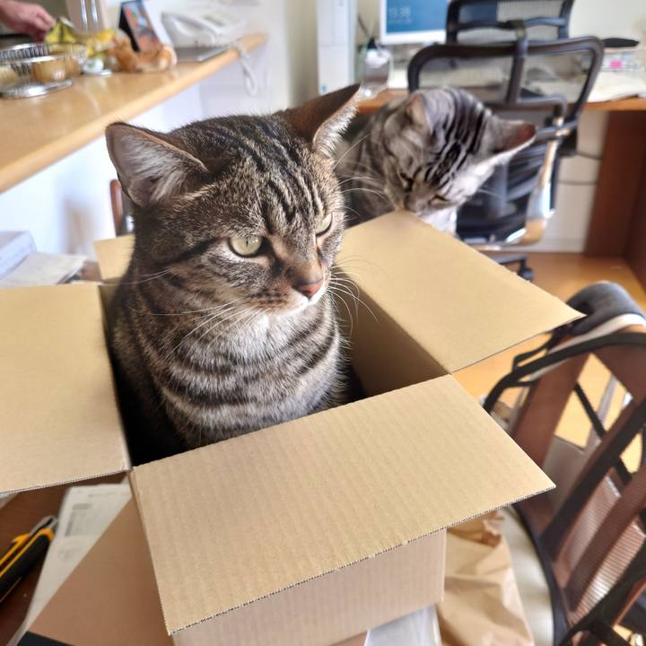 26ed0239 7248 4f61 b9a8 bdd1ef9c7977 1619152838361