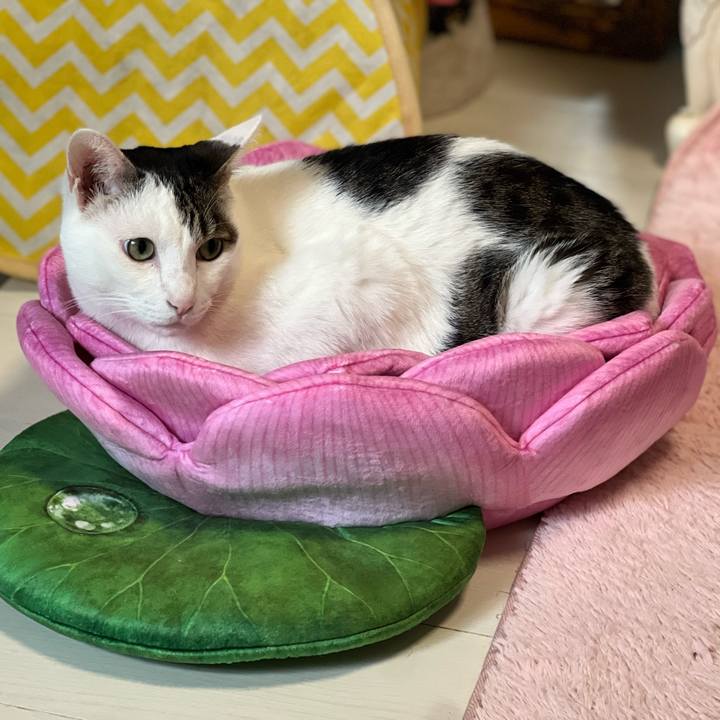 26ed104f 7cee 44a5 95f0 7f1dc29e2ae7 1690876411536