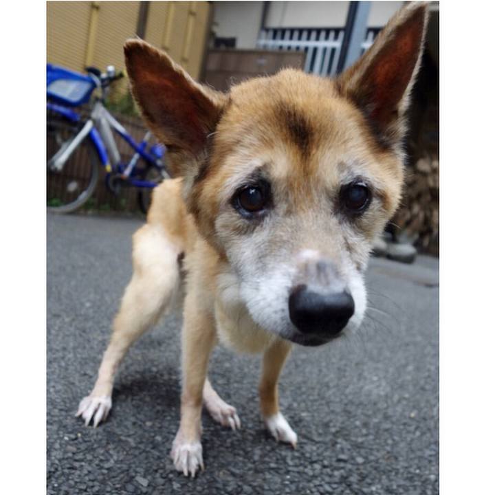 26ed12c9 5a7d 40d7 bf3c 3b9ae20d2f93 1569360980554