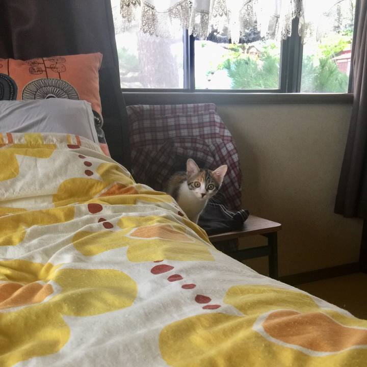 26ed1463 01b2 45e3 8953 96b88af1dd14 1633496488402