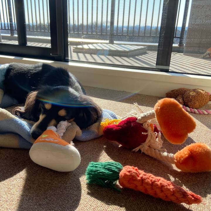 26ed1561 012a 4ca5 a8fb 6bf72f0a78b4 1706575519800