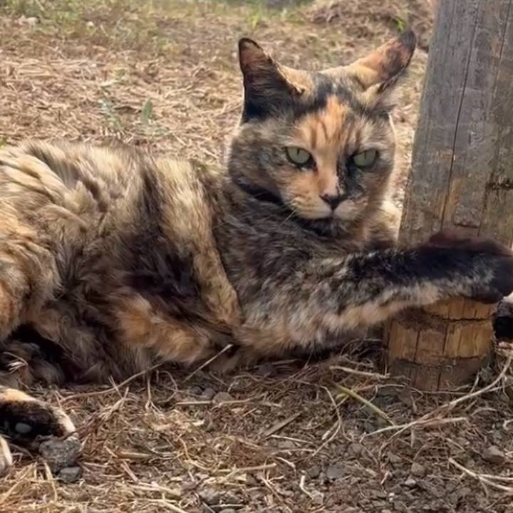 26ed5993 90ab 4138 a29d 0c558ad3dde5 1744960137564