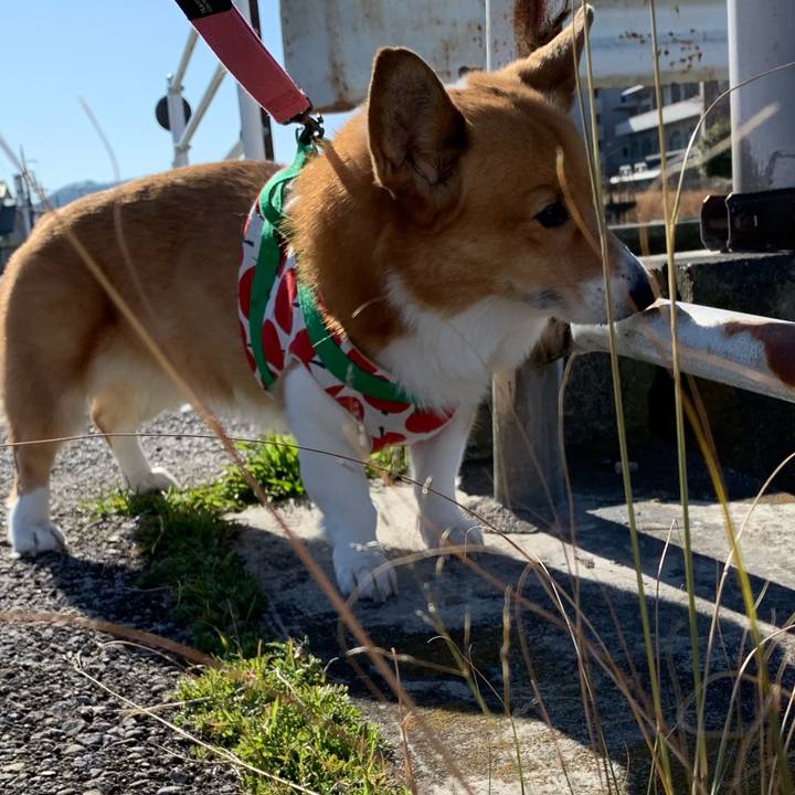 26edd3e8 d945 474d aef9 e2c57262e872 1704533166695