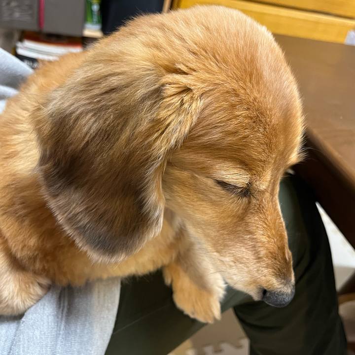 26ee488d c959 418f bae9 e16cc14324c9 1641723943820