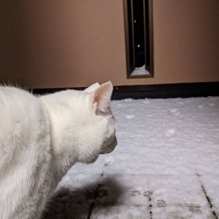 26ee629e 118a 4ac7 8e39 cd0c04c64205 1610110784291