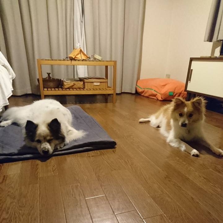 26ee8093 0b8f 48d0 8955 919c7e3d47b3 1535371904823