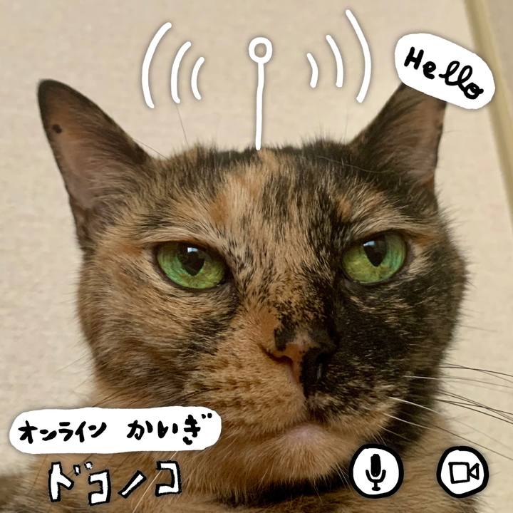 26eea31e 09b6 4e7d 9da7 74c1a9c0d4b5 1591080273399