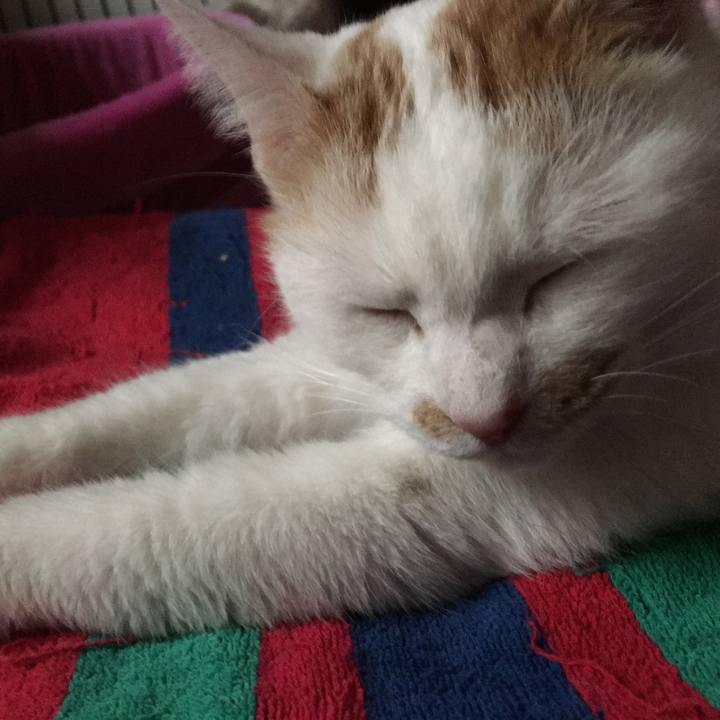 26eebedd 320c 4f3d 9ddb ea9262bca572 1514075976702